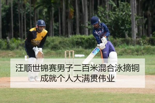汪顺世锦赛男子二百米混合泳摘铜 成就个人大满贯伟业